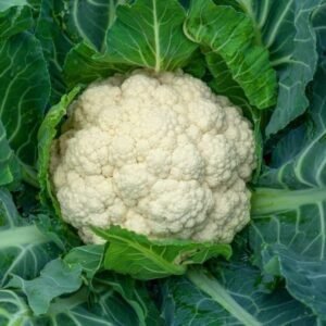 Cauliflower